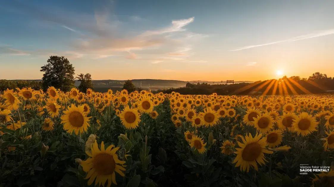 Guias para Orações Noturnas: Versículos e Meditações Bíblicas