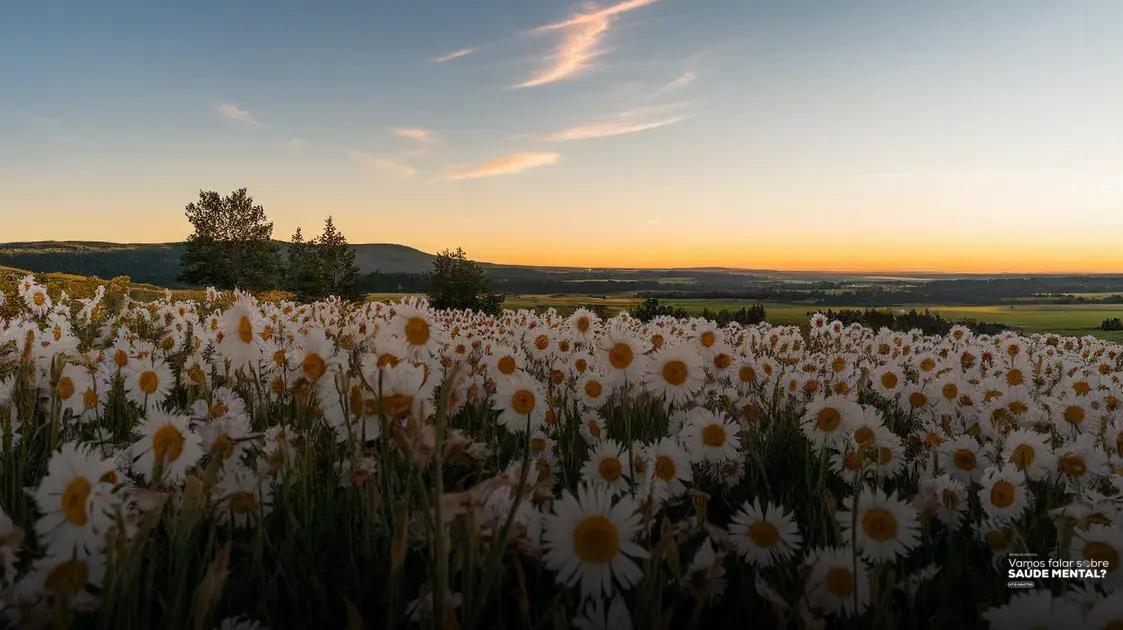 Identificando Seus Bloqueios Emocionais